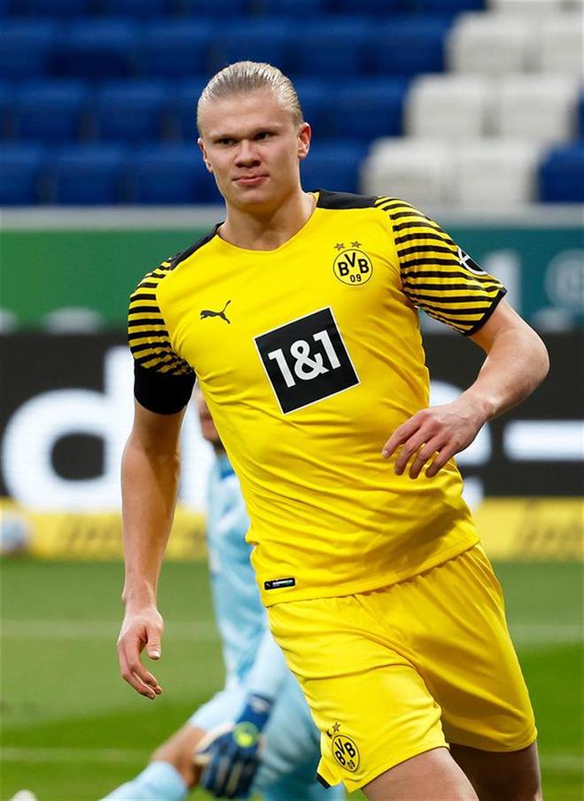 预测结论 预测结论